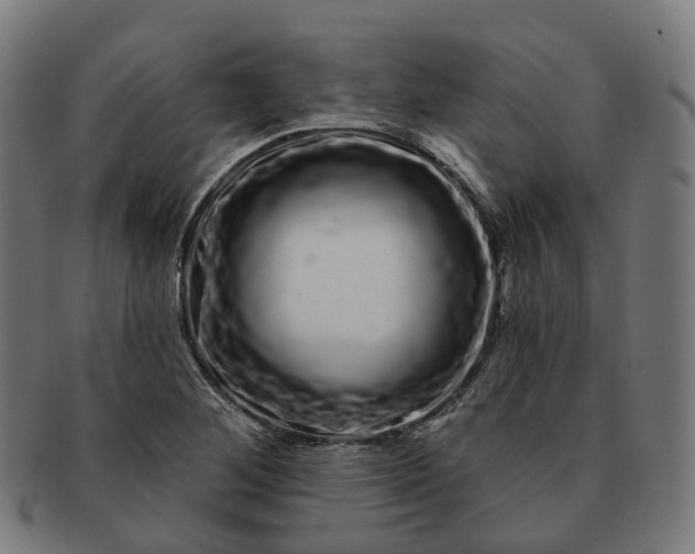 X0000091311268200708241105