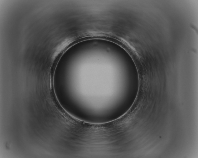 X0000091311269200708241105