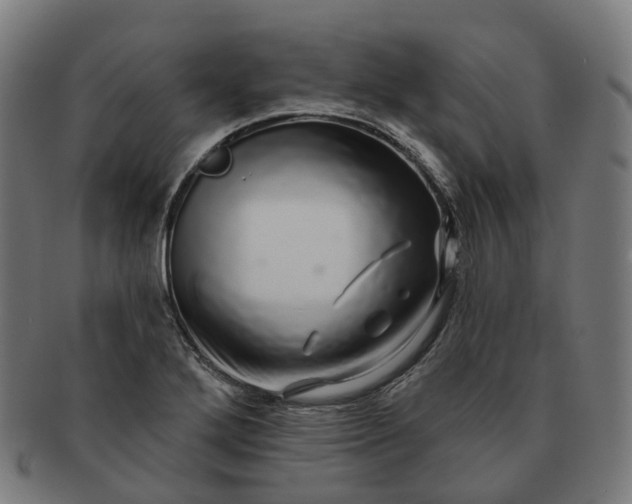 X0000091311272200708241105