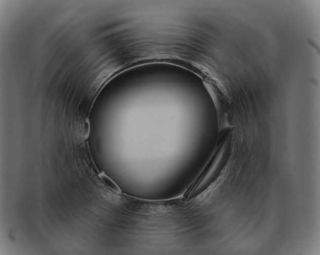 X0000091311273200708241105