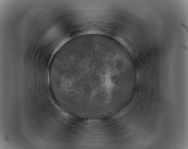 X0000091311274200708241105