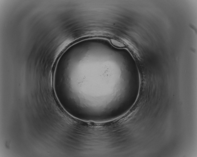 X0000091311275200708241105