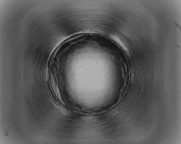 X0000091311276200708241105