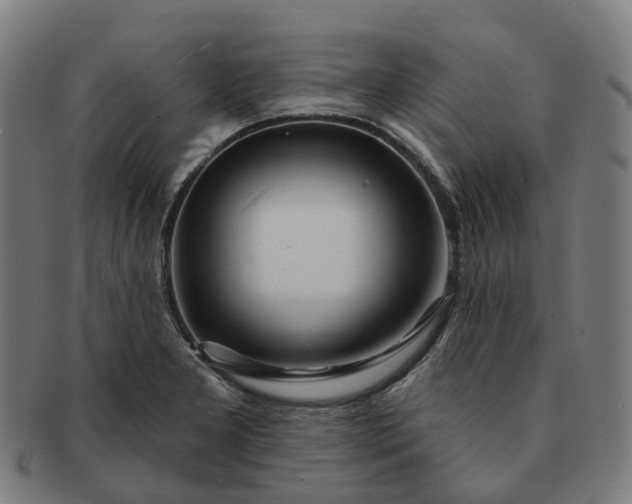 X0000091311277200708241105