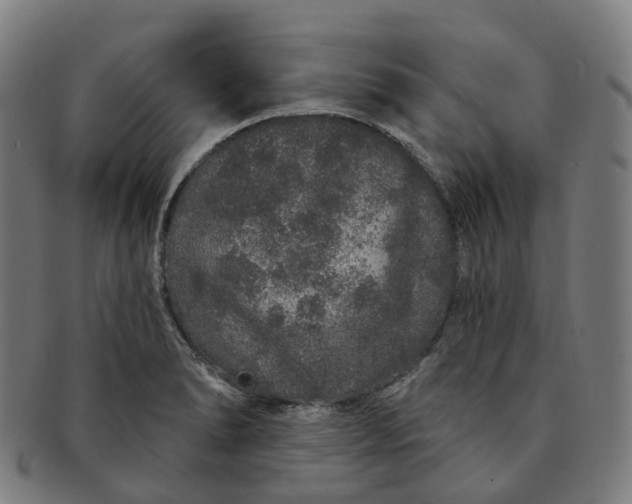 X0000091311278200708241105