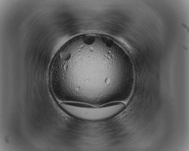 X0000091311279200708241105