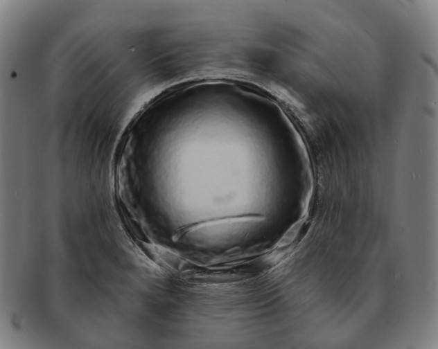 X0000091311280200708241105