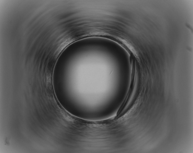 X0000091311281200708241105