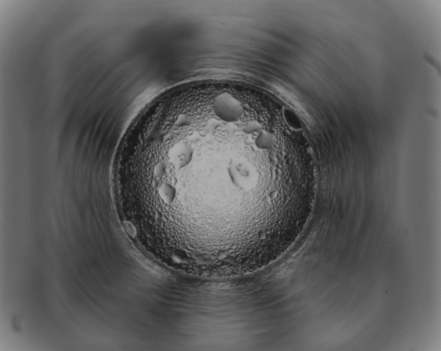 X0000091311283200708241105