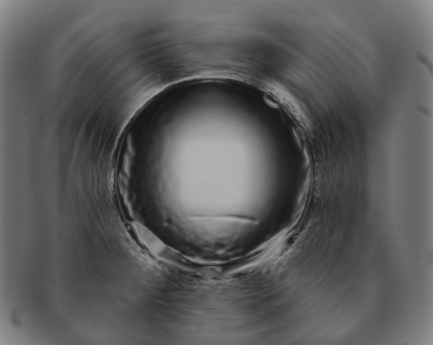 X0000091311284200708241105