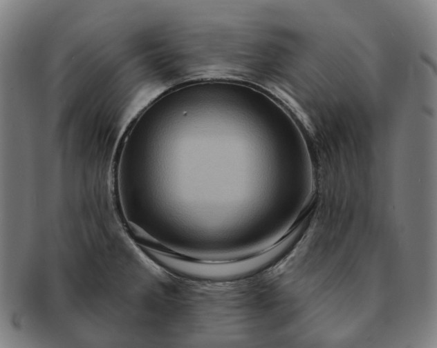 X0000091311285200708241105