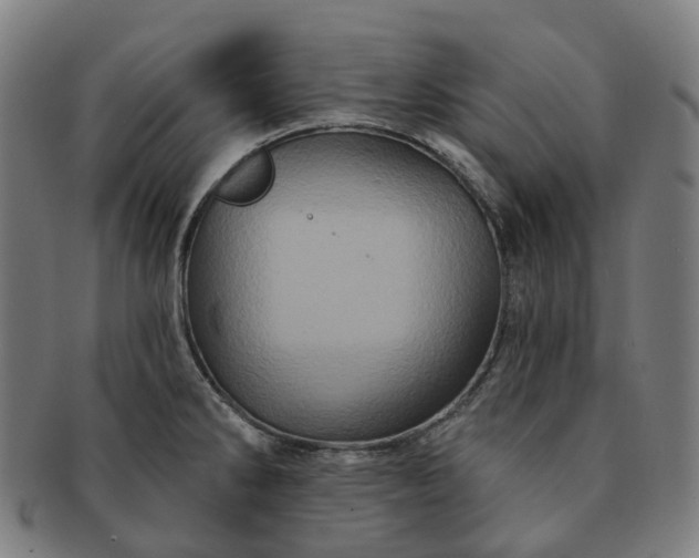 X0000091311286200708241105