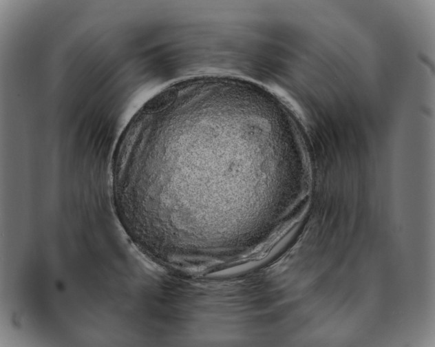 X0000091311287200708241105