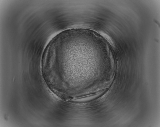 X0000091311288200708241105