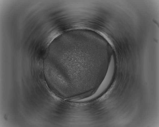 X0000091311289200708241105