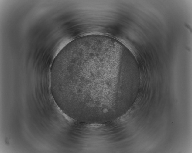 X0000091311290200708241105