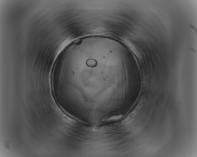 X0000091311291200708241105