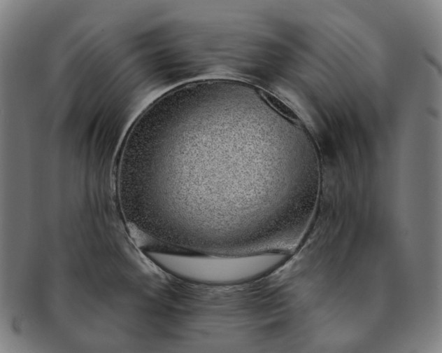 X0000091311292200708241105