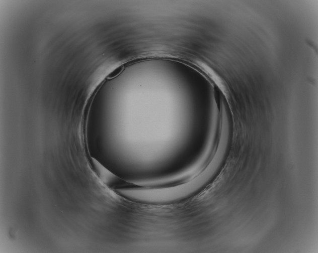 X0000091311293200708241105