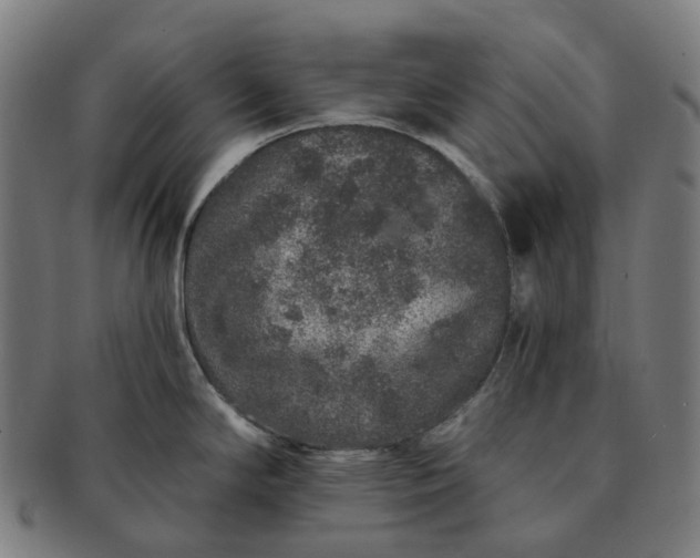 X0000091311294200708241105