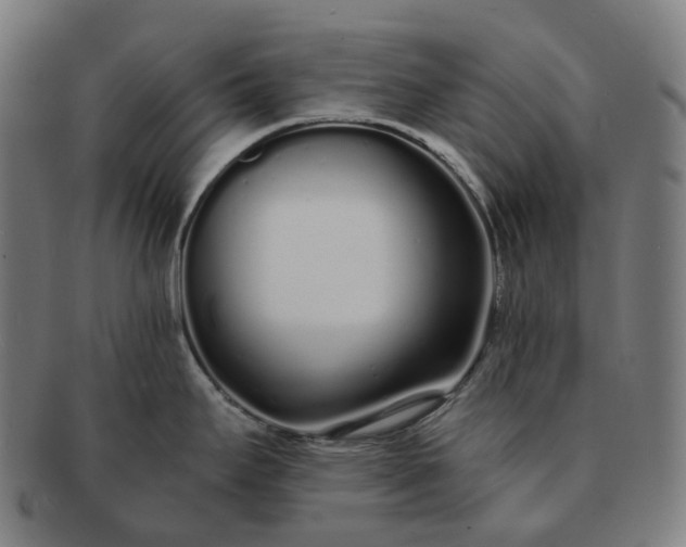 X0000091311295200708241105