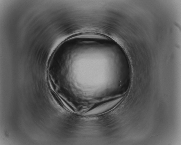 X0000091311296200708241105