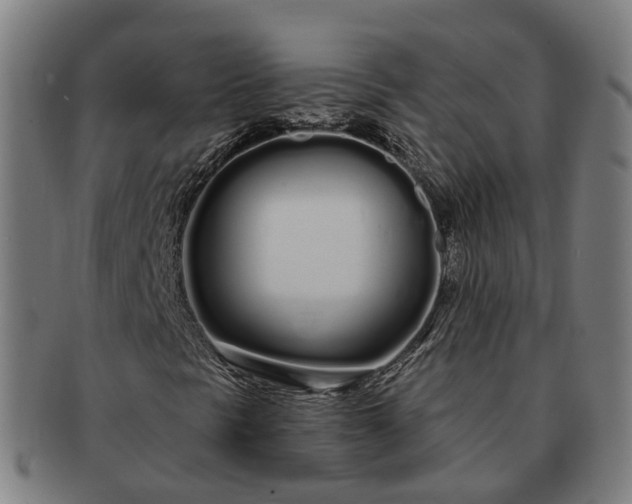 X0000091311297200708241104