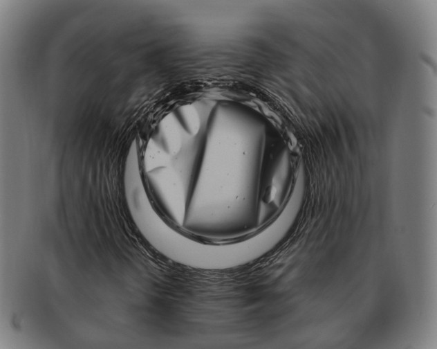 X0000091311298200708241104