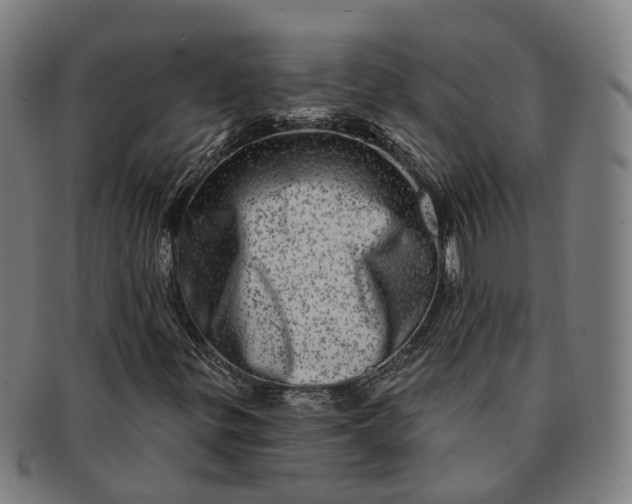 X0000091311299200708241104