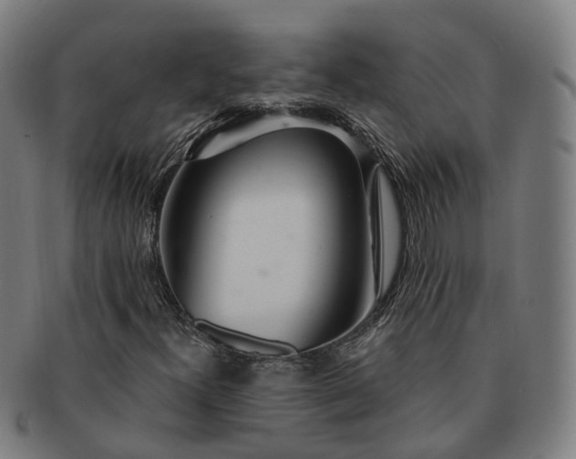 X0000091311300200708241104