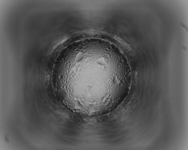 X0000091311302200708241104