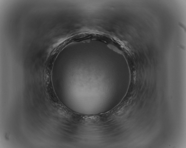 X0000091311303200708241104