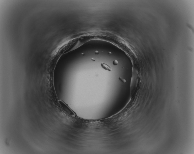 X0000091311304200708241104