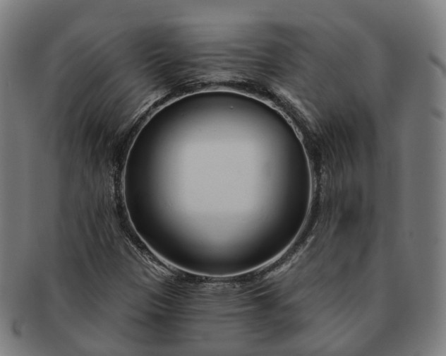 X0000091311305200708241104