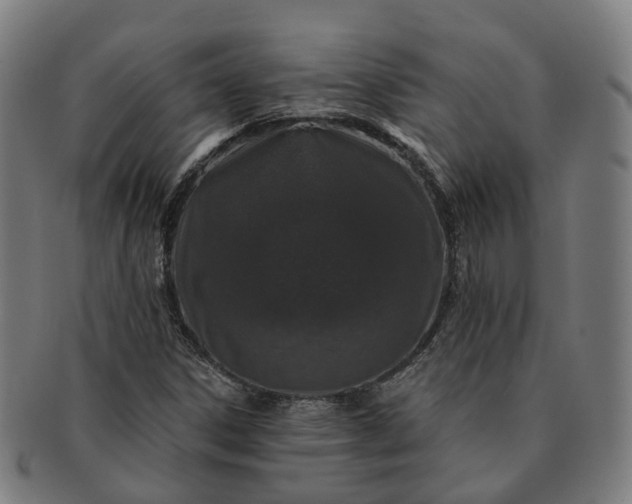 X0000091311306200708241104