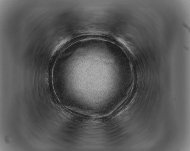 X0000091311307200708241104