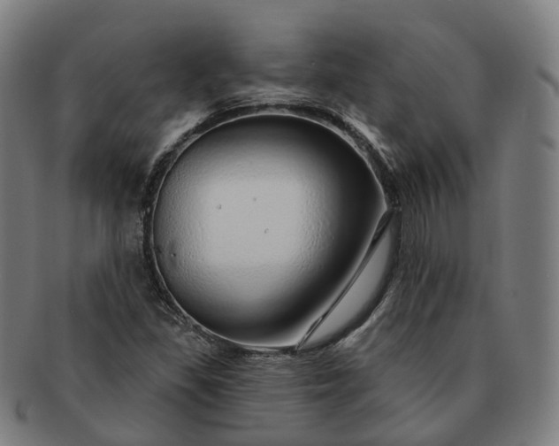 X0000091311309200708241104