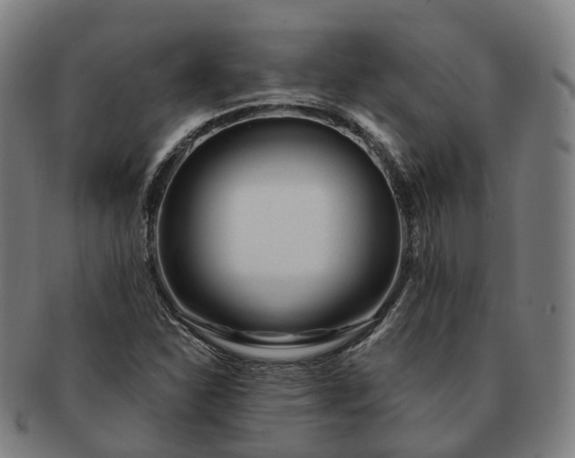 X0000091311310200708241104