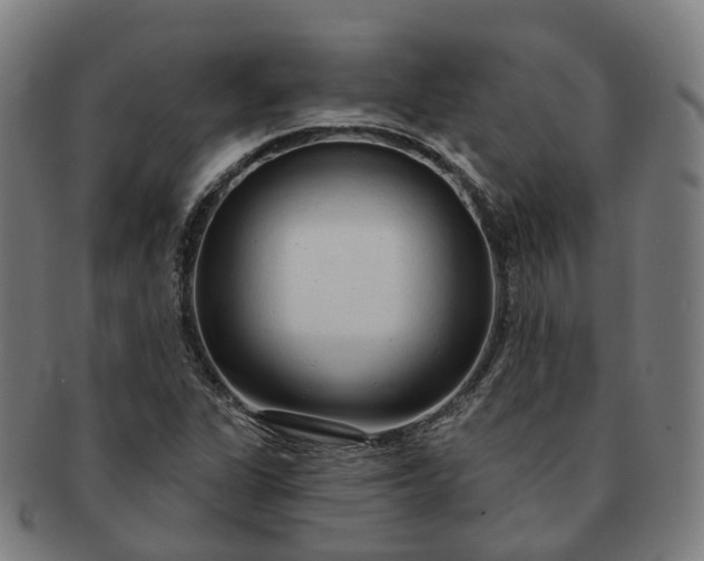 X0000091311311200708241104