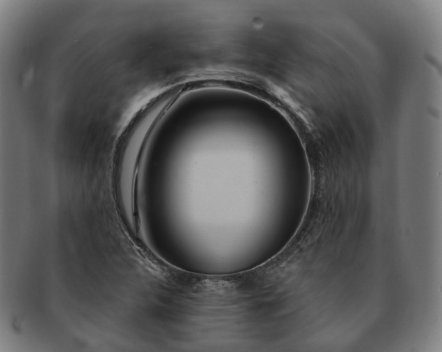 X0000091311312200708241104