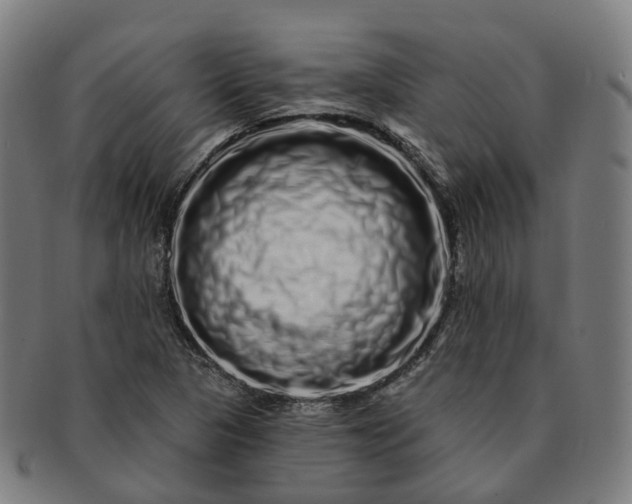 X0000091311313200708241104