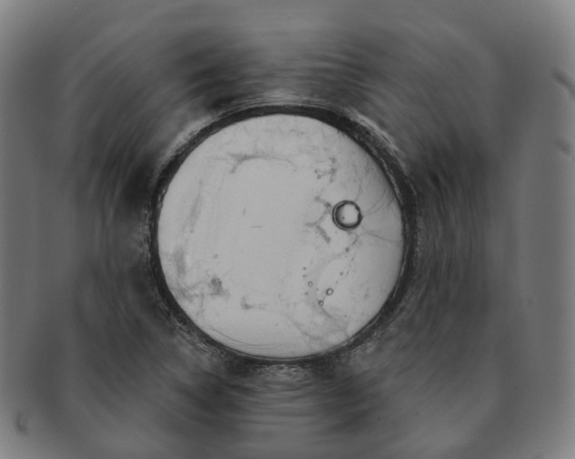 X0000091311314200708241104