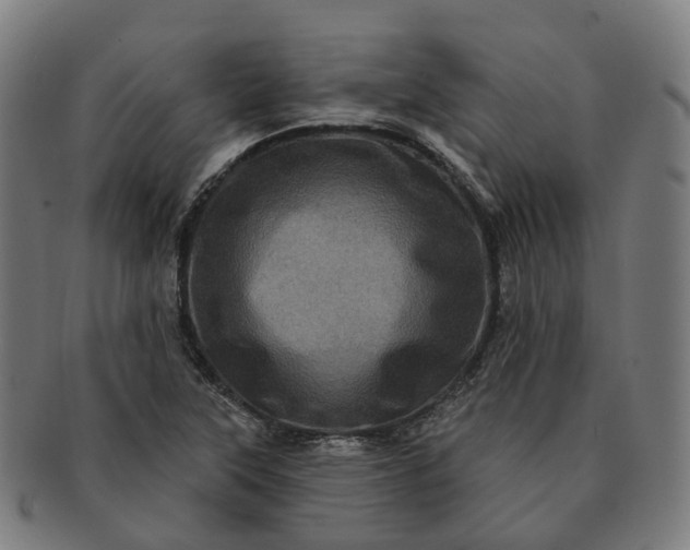 X0000091311315200708241104