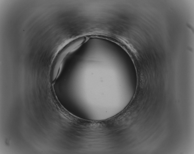 X0000091311316200708241104