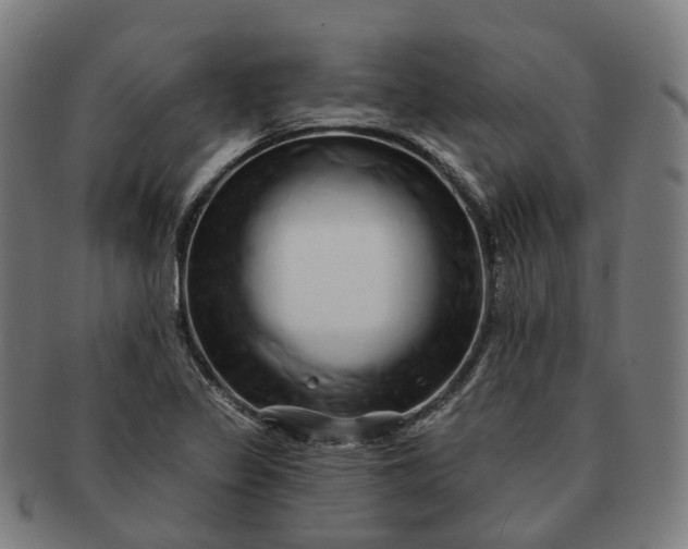 X0000091311317200708241104