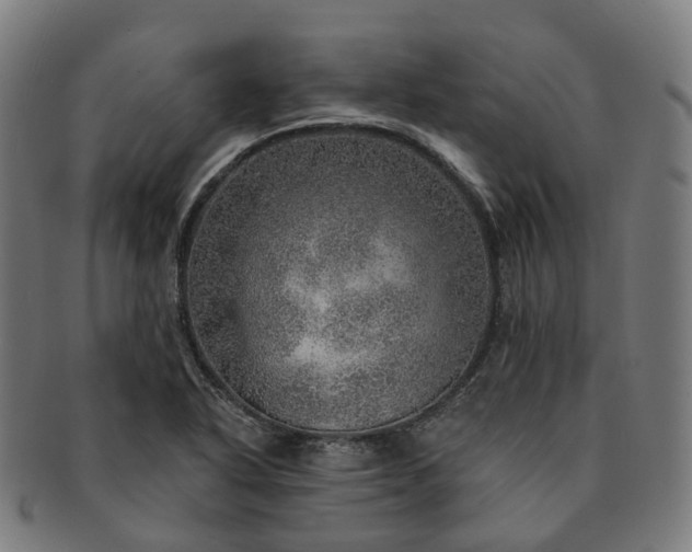 X0000091311318200708241104