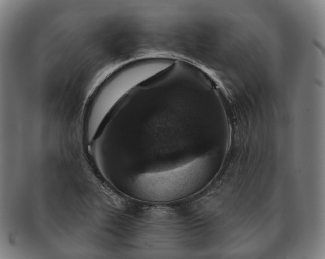 X0000091311319200708241104