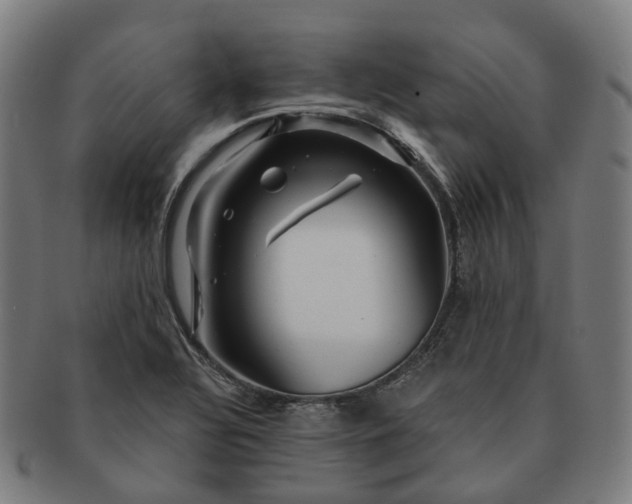 X0000091311320200708241105