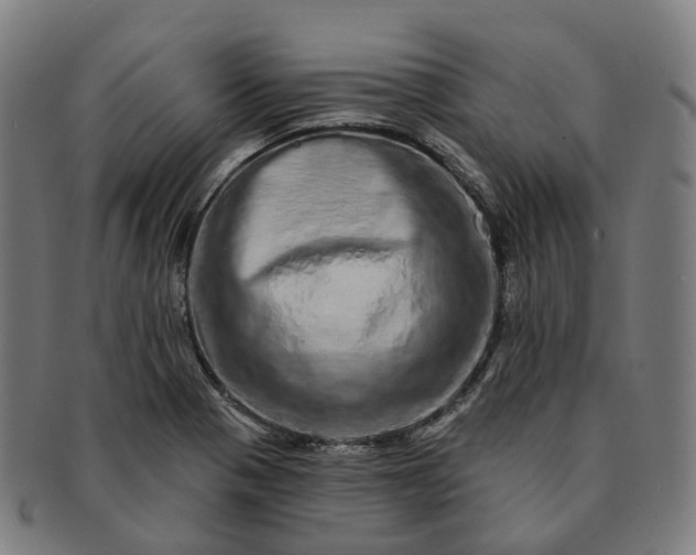 X0000091311321200708241105