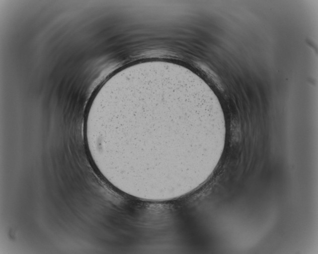 X0000091311322200708241105